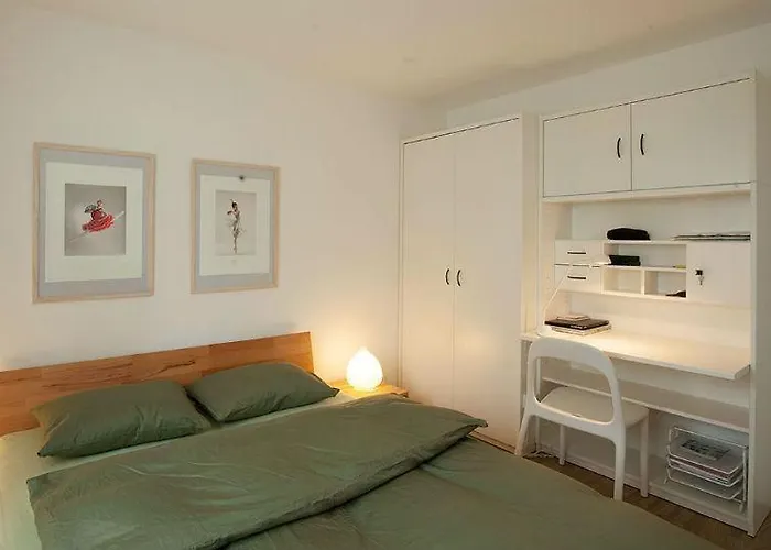 Profos 54002b * Ruschein